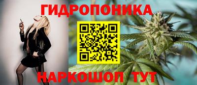 ECSTASY Свободный