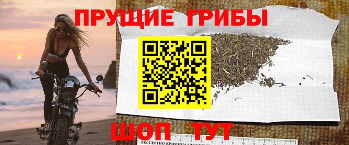 Псилоцибиновые грибы Magic Shrooms  магазин    Омск  Вход с VPN  Галлюциногенные грибы мухоморы 